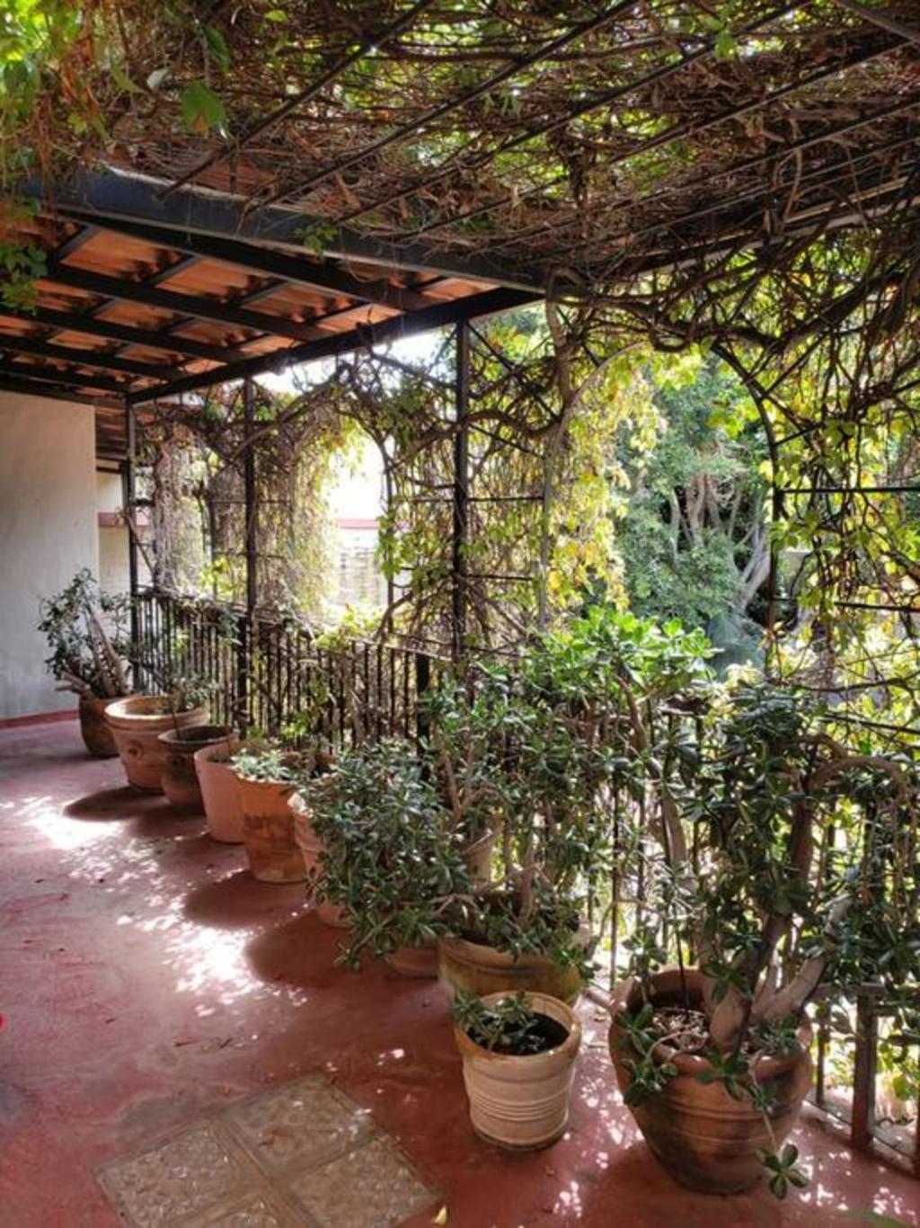 Enjoy Ac In The Queen'S Suite At Inn Ajijic Exteriör bild